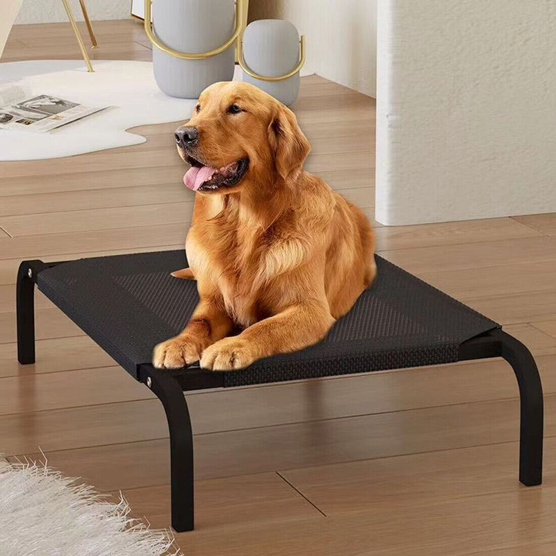 Elevated & Waterproof Pet Beds for Summer: Keep Your Dog Cool & Dry Outdoors