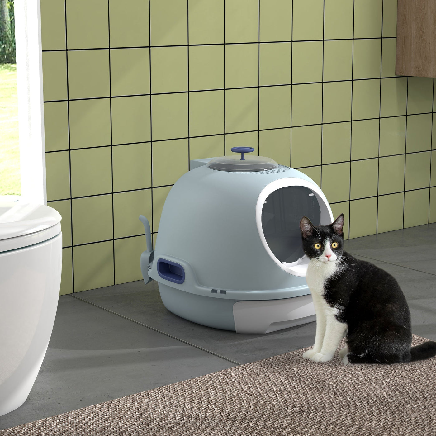 Enclosed Cat Litter Box with Top Exit and Side Scoop, 55cm