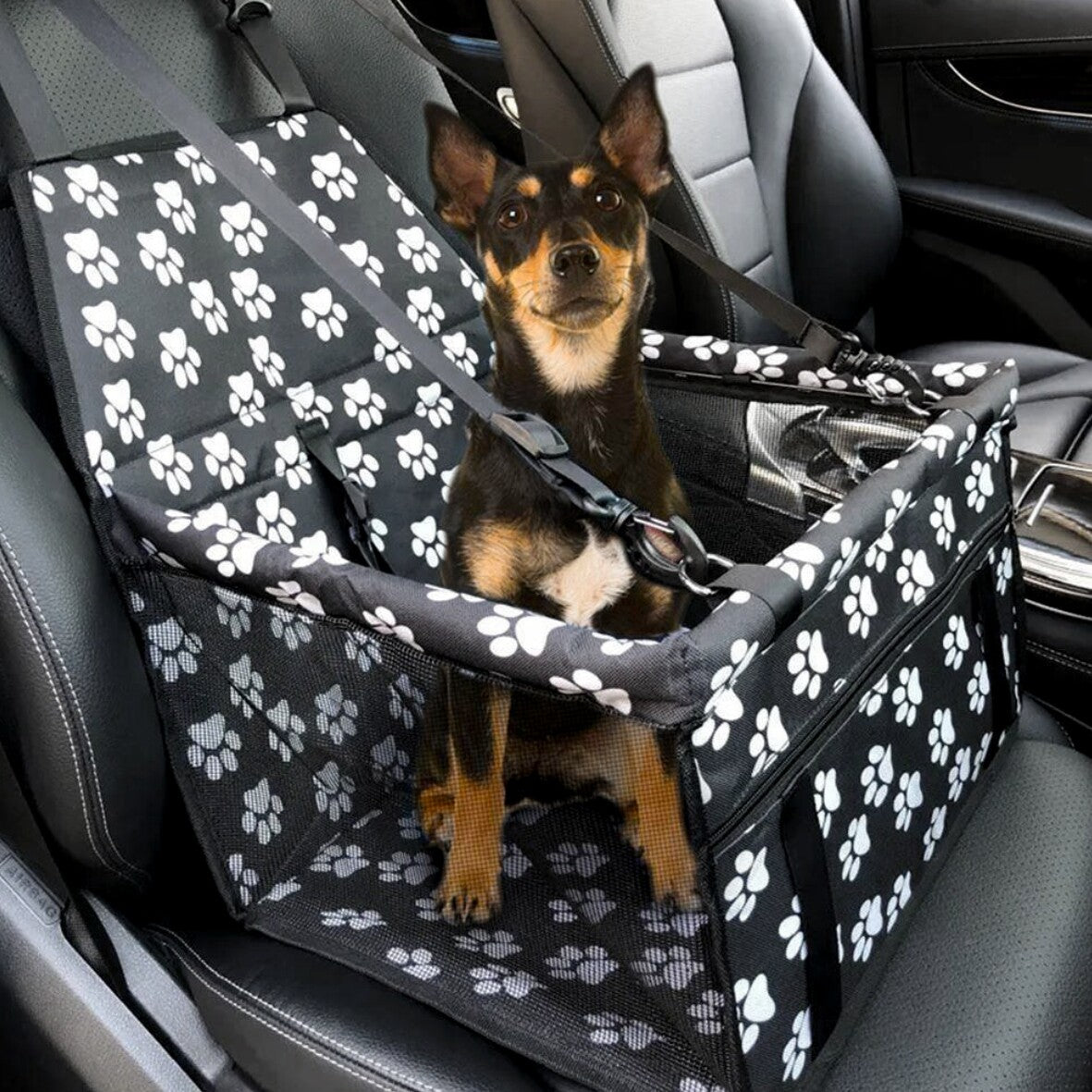 Portable Pet Car Seat Booster with Safety Strap
