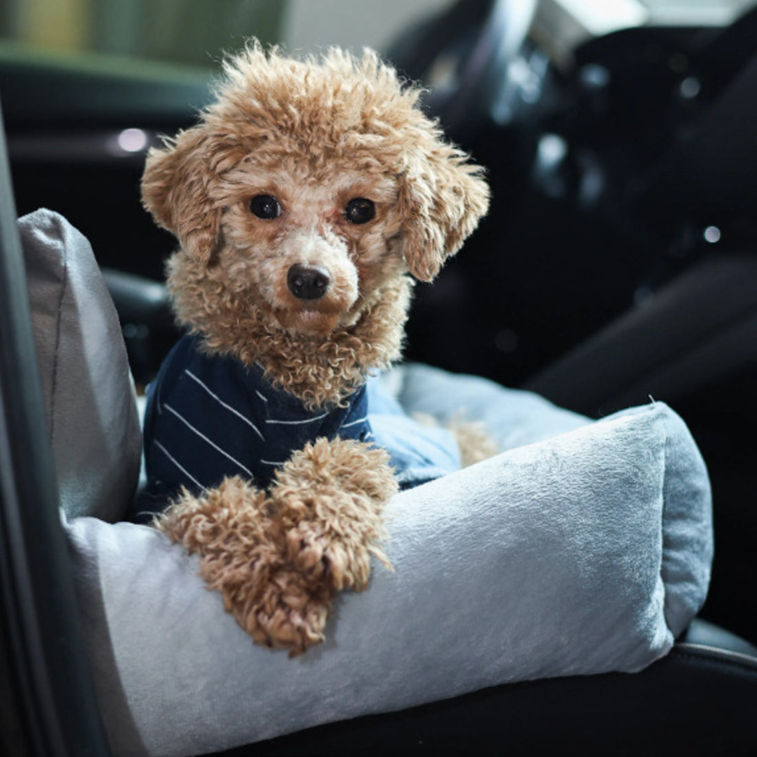 Plush Travel Car Booster Seat for Small Dogs and Cats