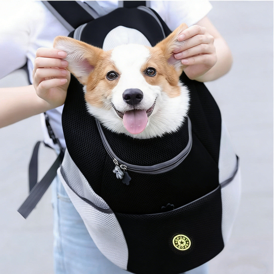 Breathable Mesh Pet Front Carrier Backpack