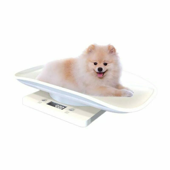 Digital Precision Scales for Small Pets and Puppies