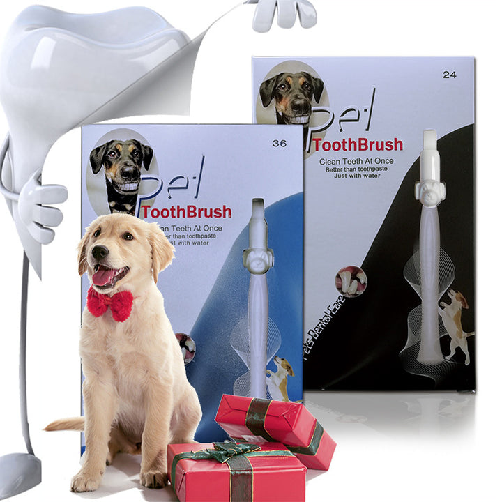 Portable Teeth Cleaning Wipe Tool with Replacement Heads