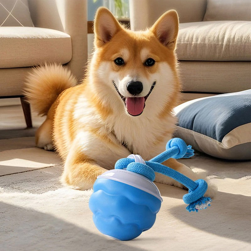 Interactive Motion-Activated Dog Ball with Rope